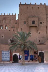 Earthen kasbah wall and a date palm in the Ziz valley
