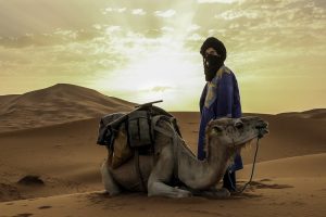 Cameleer in a blue turban with his camel at golden hour