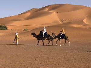 Camel trek crossing the Erg Chebbi dunes in Merzouga