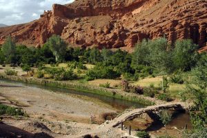 Green oasis and red cliffs in the Dades Valley