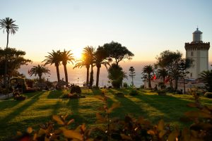 Palm gardens at sunset on the approach to Marrakech