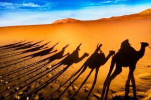 Shadows of camels and riders on the dunes at sunset