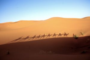 Camel caravan crossing the Erg Chebbi dunes in Merzouga