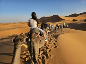 Camel caravan crossing the Erg Chebbi dunes seen from the saddle