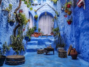 Callejon pintado de azul con macetas en la medina de Chefchaouen