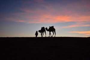 Siluetas de camellos al anochecer sobre el Sahara cerca de Merzouga