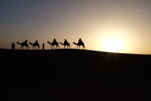Camel caravan silhouetted against the Sahara sunset at Merzouga