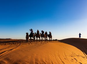 Caravana de camellos cruzando las dunas de Erg Chebbi al amanecer