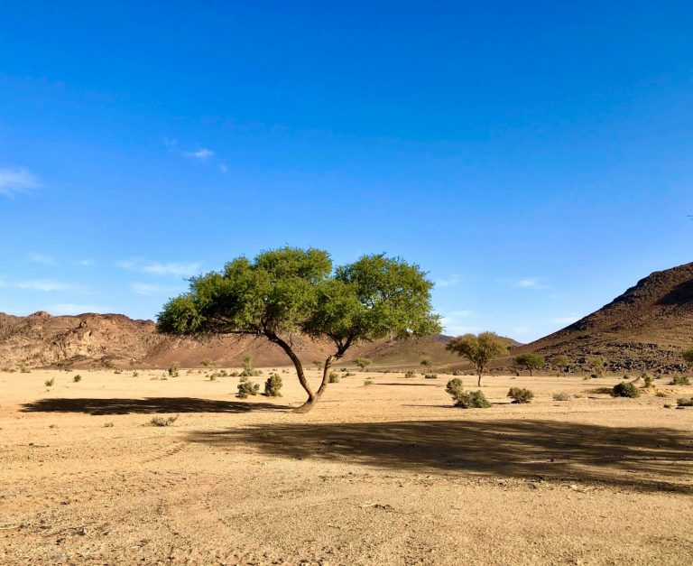 6 days tour from Marrakech to the Sahara Desert