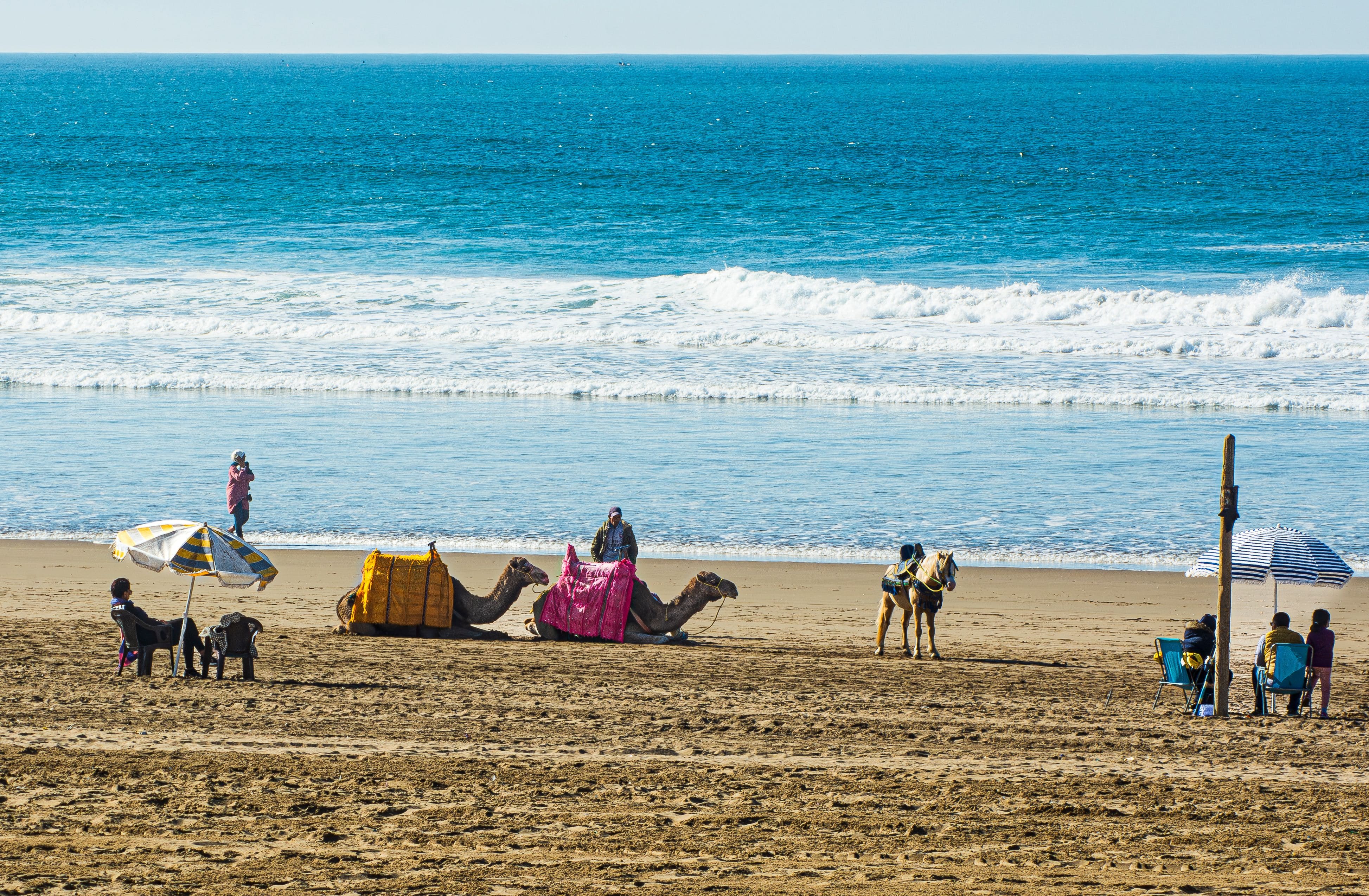 Beaches in Morocco at sunset in Essaouira