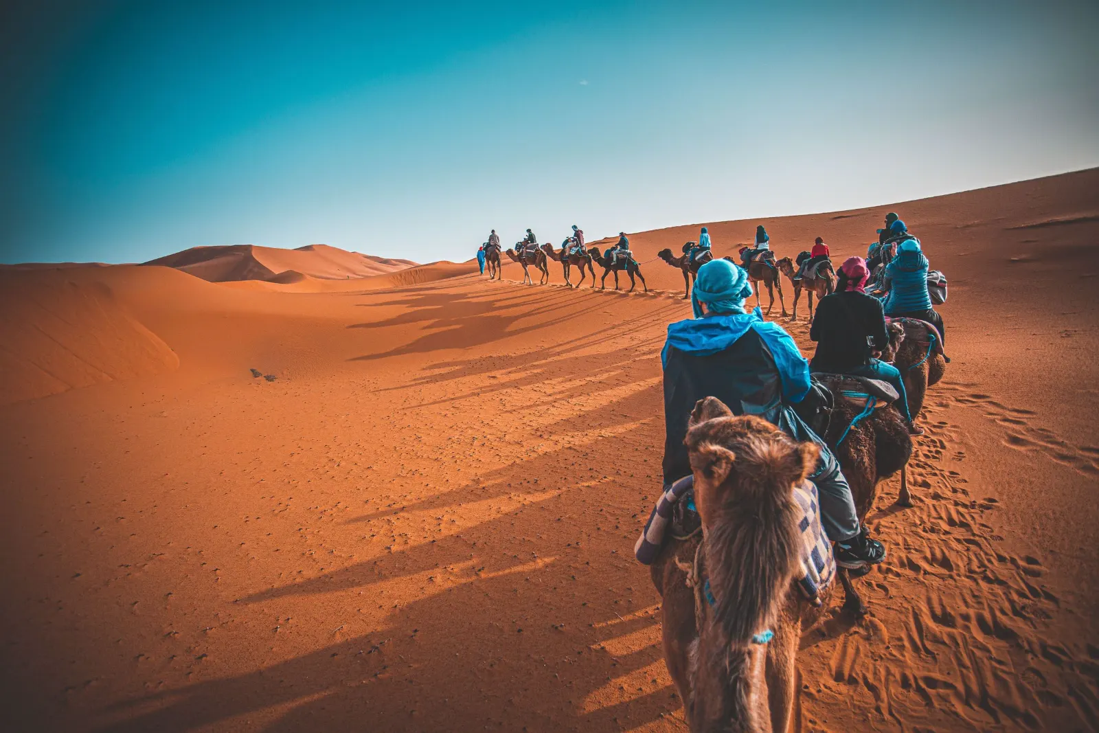 Camel trek in the Sahara dunes of Merzouga