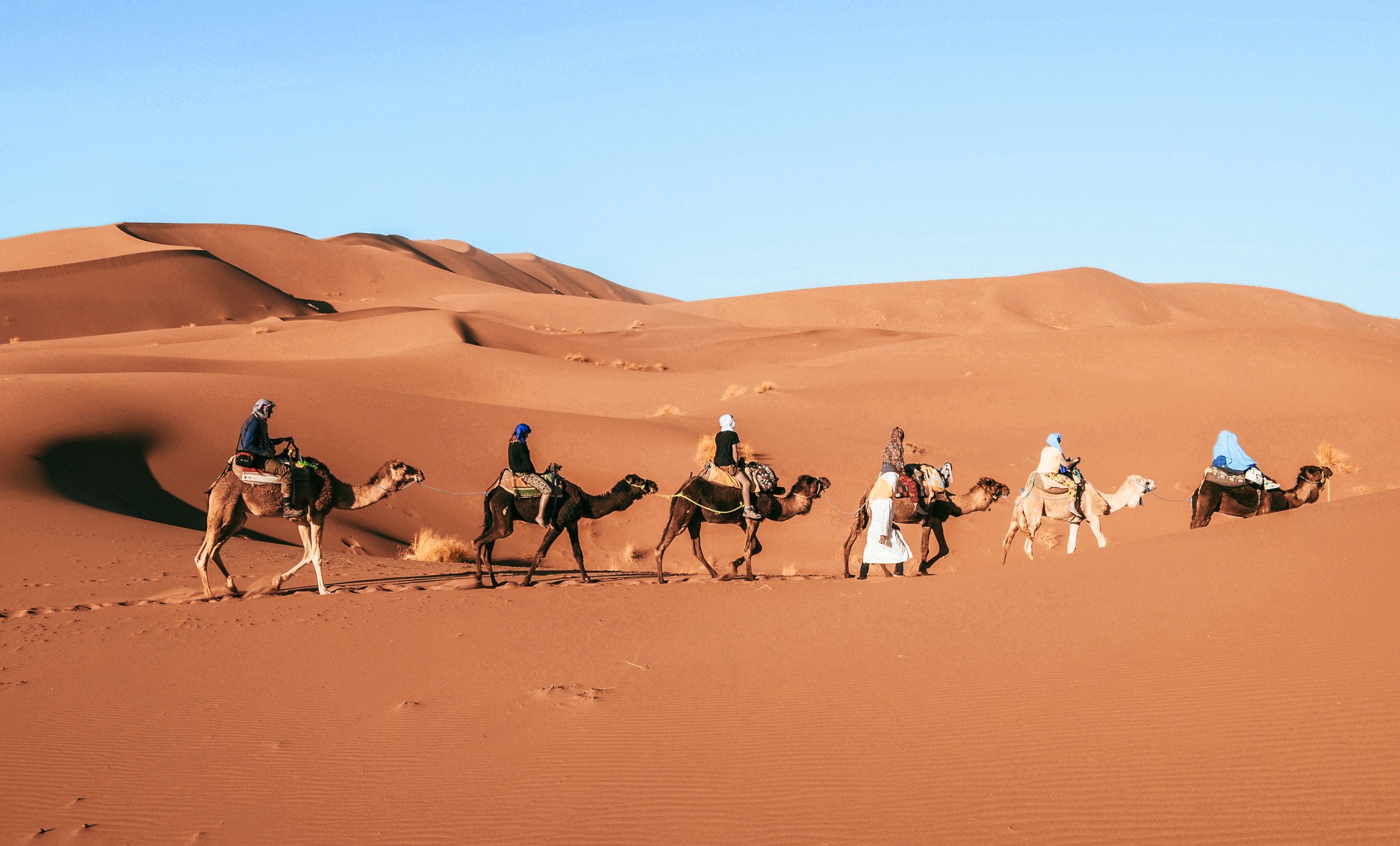 Travellers planning a private Morocco tour with a local guide
