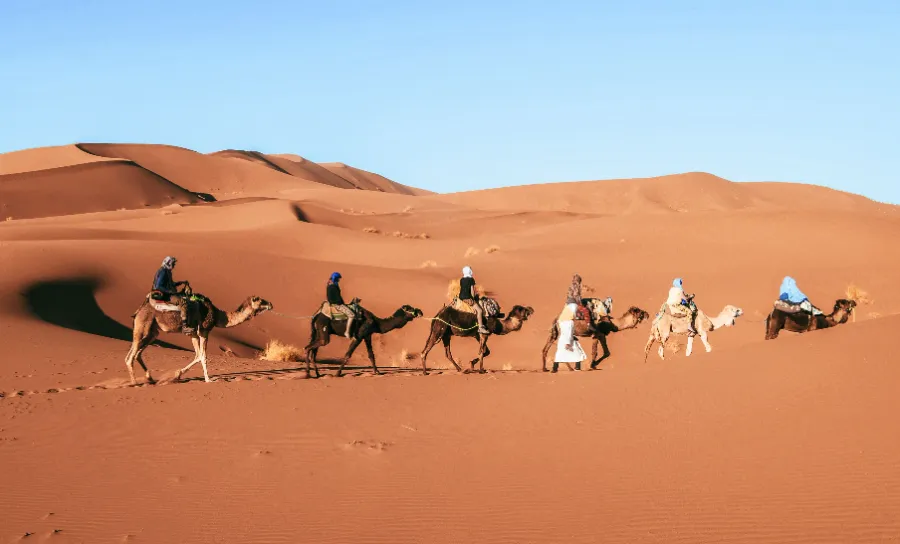 Travellers planning a private Morocco tour with a local guide