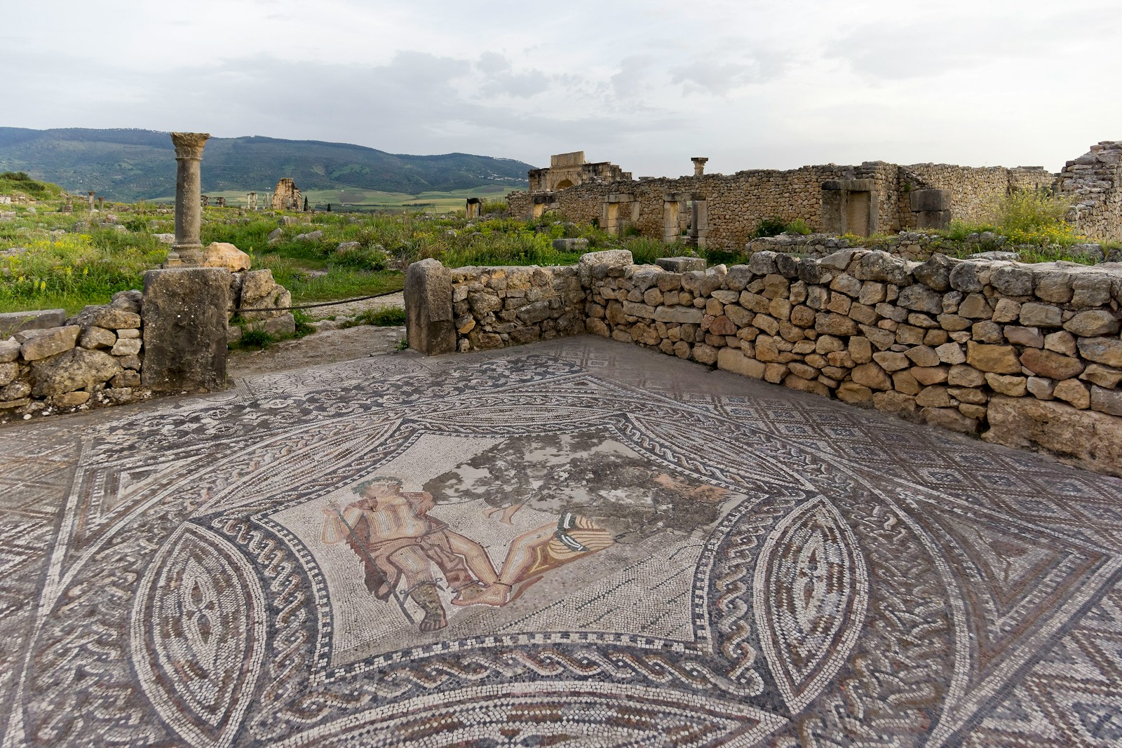 Roman floor mosaic in a house at Volubilis, Morocco
